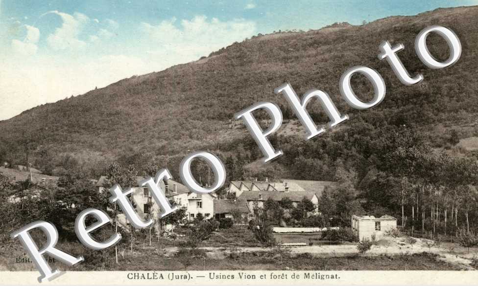 Usines Vion et Foret de Melignat