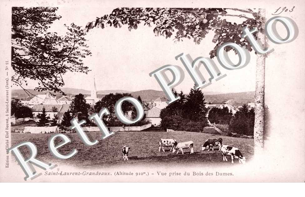 Vue prise du Bois des Dames
