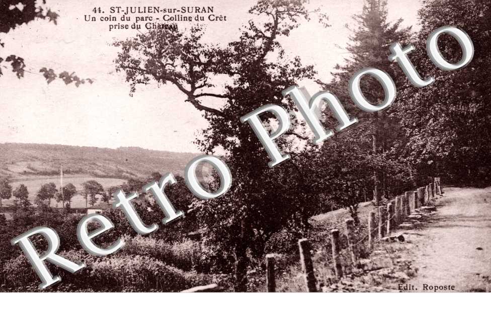 Un coin du Parc, Colline du Cret
