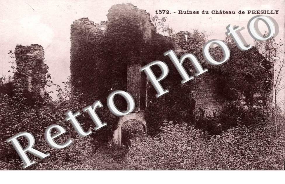 RUines du Chateau de Presilly