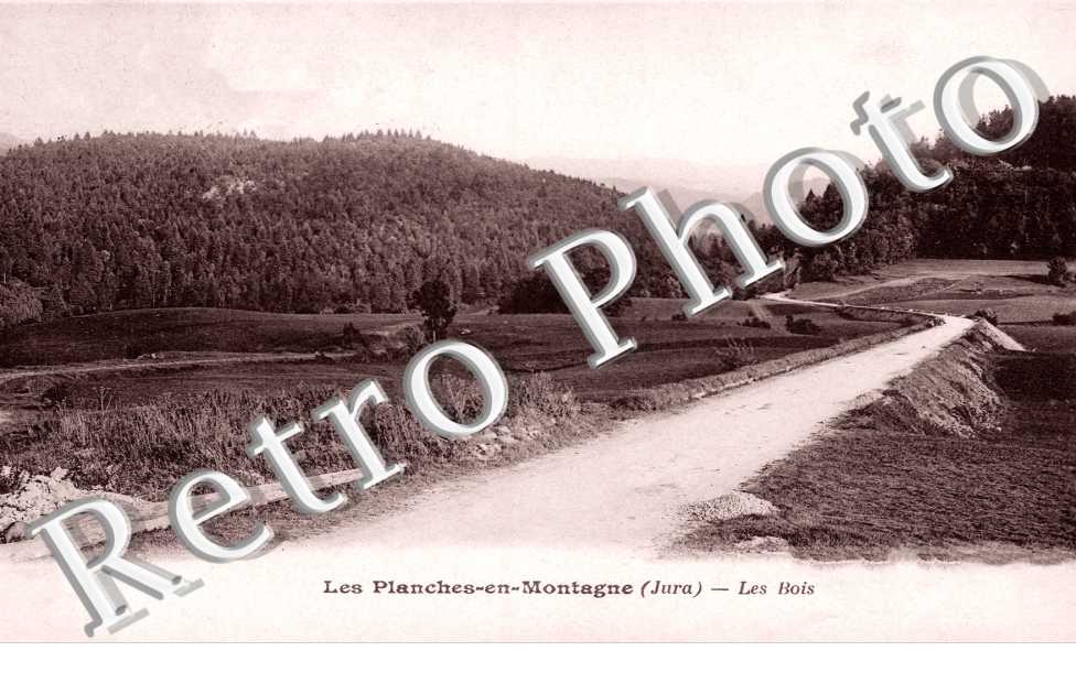 Les Bois