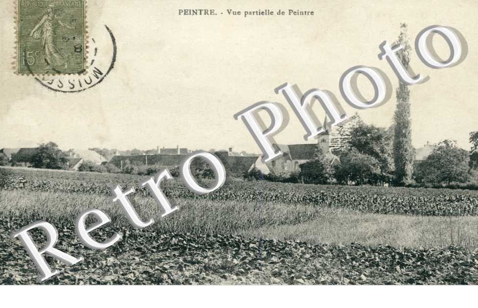 Vue partielle de Peintre