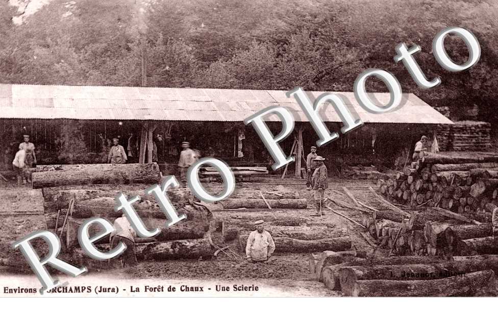 la foret de chaux, une scierie
