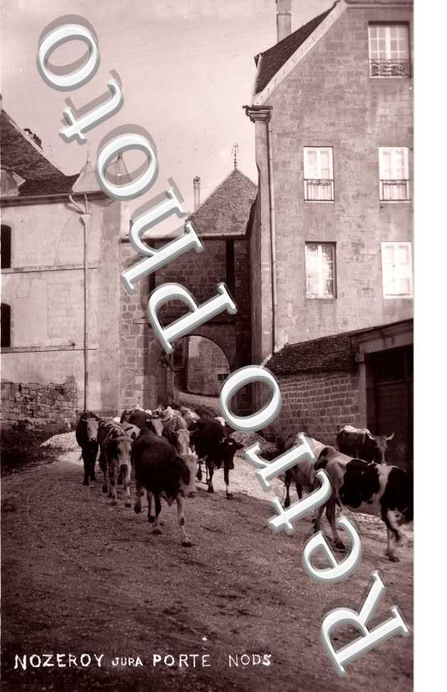 Porte Nods