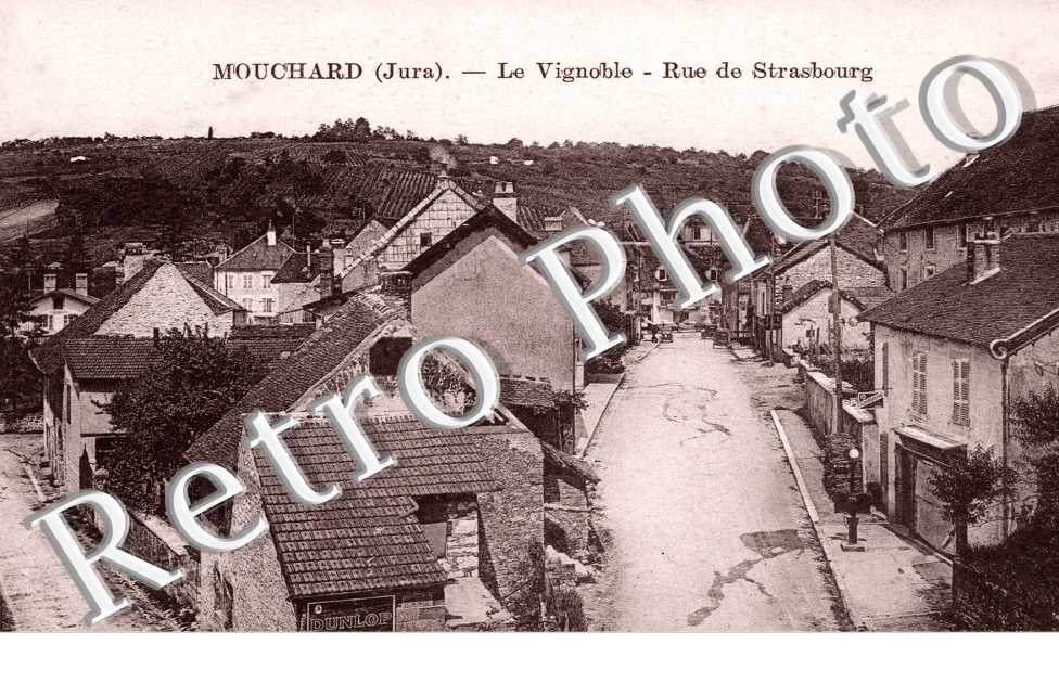 le Vignoble Rue de Strasbourg