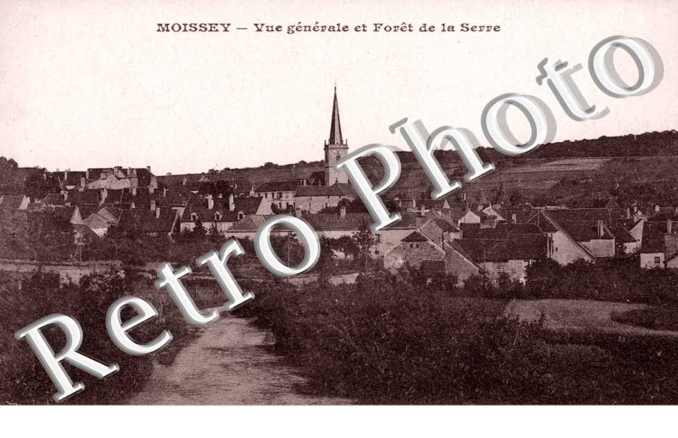 Vue generale et Foret de la Serre