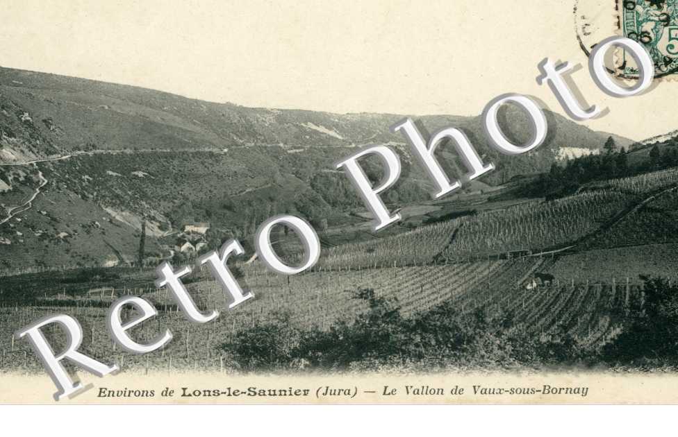 Le Vallon de Vaux sous Bornay