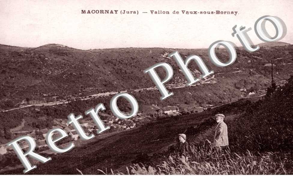 Le Vallon de Vaux sous Bornay