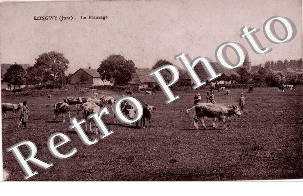 Le paturage