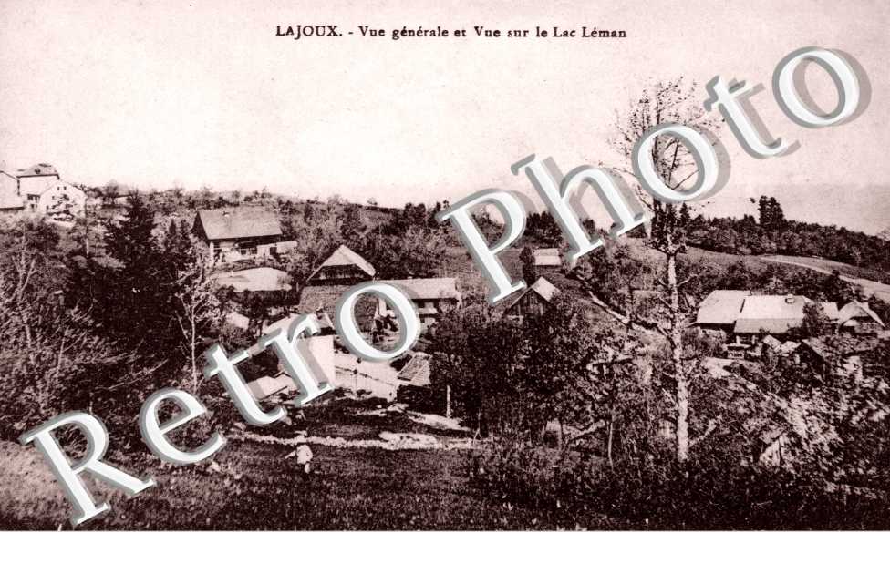 Vue generale et vue sur le lac Leman