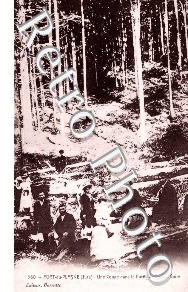 Une Coupe dans la Foret de Combe Noire