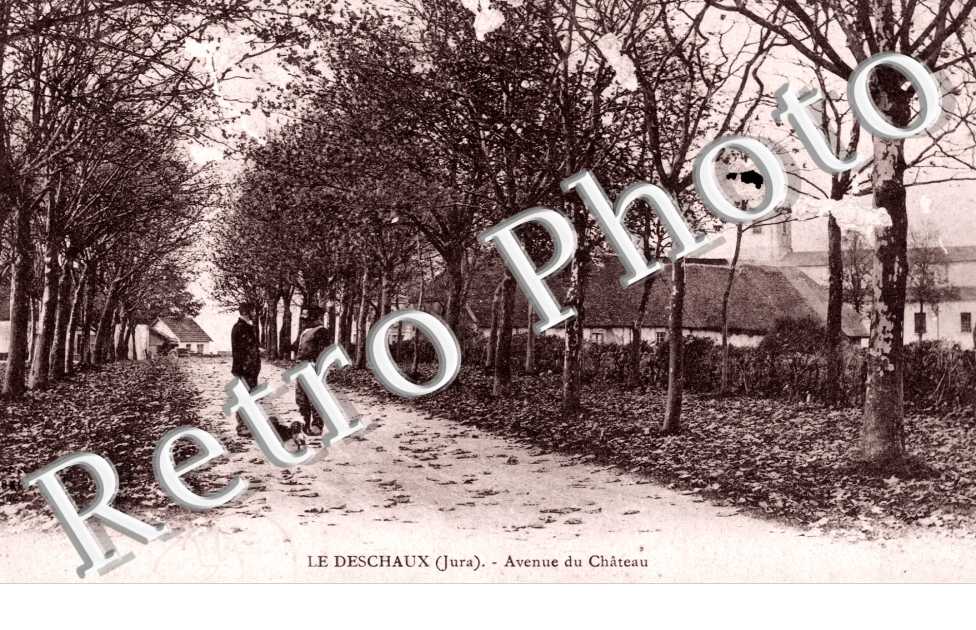 Avenue du Chateau