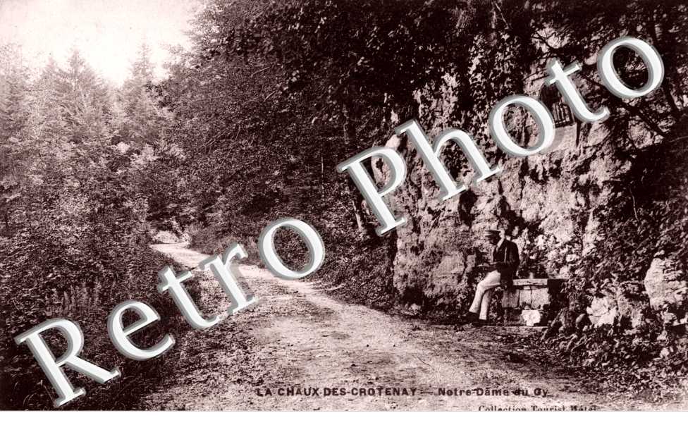 (un chemin en foret)