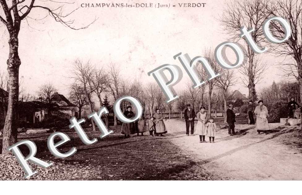 Verdot