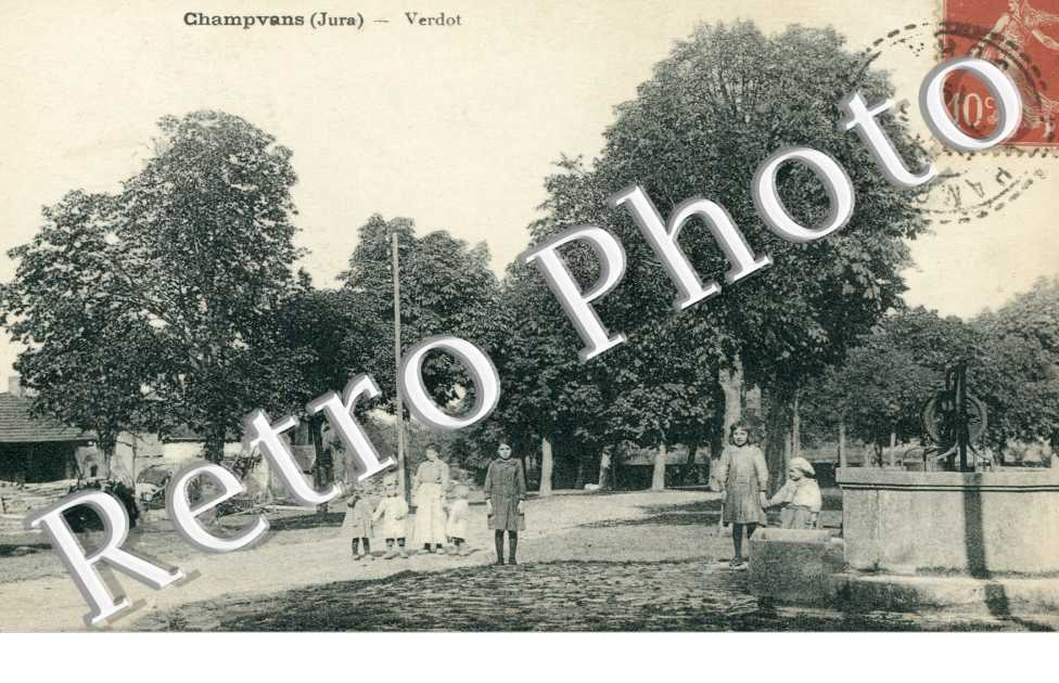 Verdot