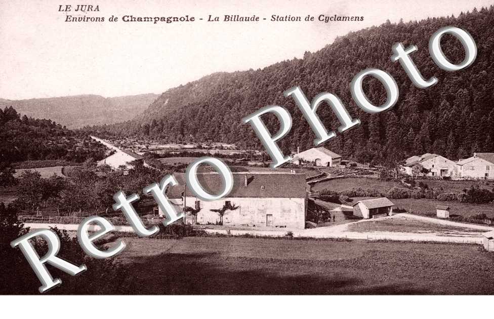 La Billaude, Station de Cyclamens