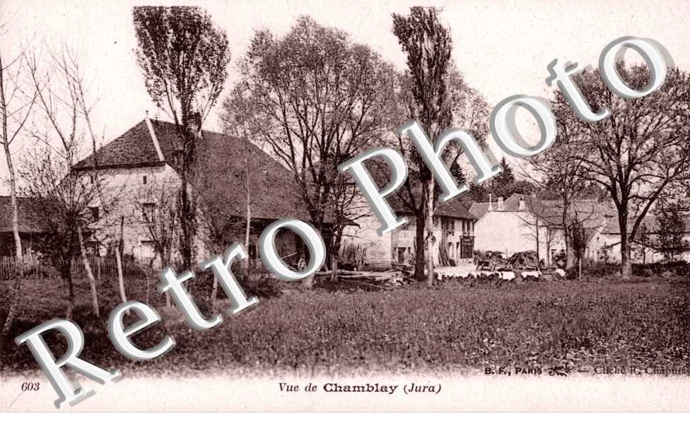 (vue d'ensemble)
