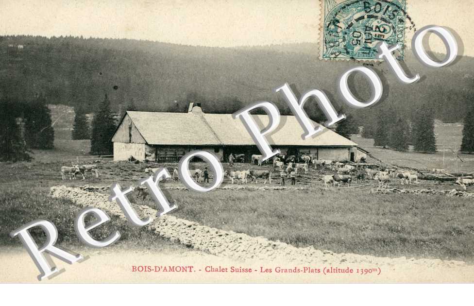 Chalet Suisse - les grands plats