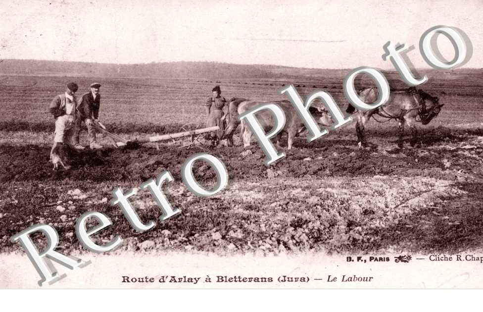 Le Labour