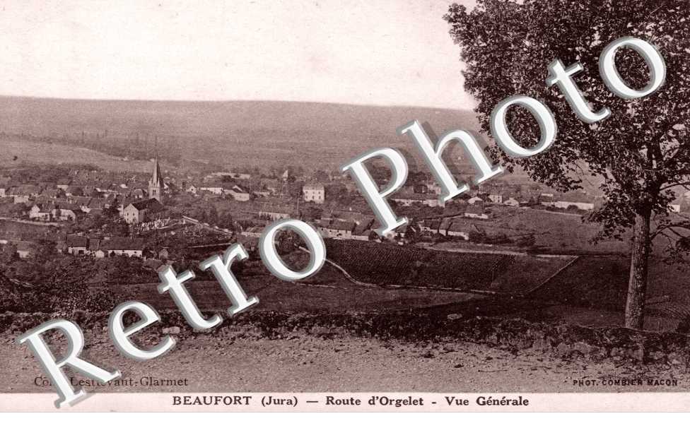 Vue generale, Route d'Orgelet