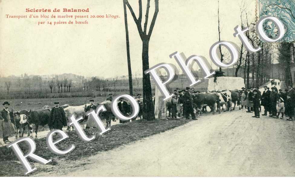 Scieries - transport d'un bloc de Marbre par 14 paire de boeufs
