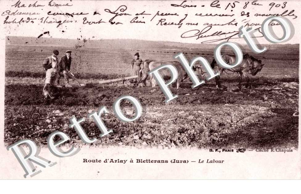 Route d'Arlay a Bletterans - Le Labour - agriculture - charrue