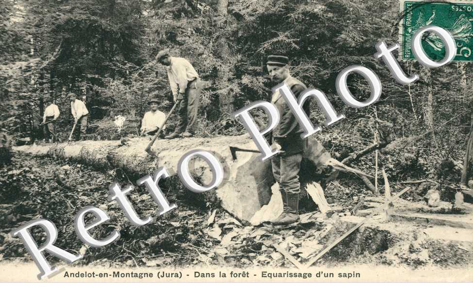 equarissage d'un sapin