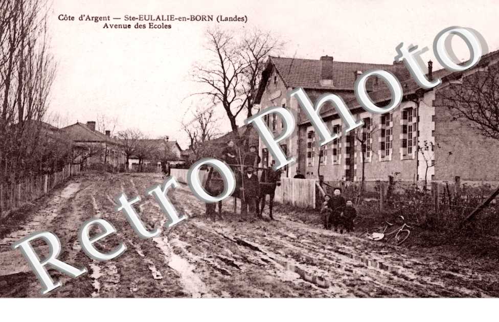 SAINTE EULALIE EN BORN avenue des ecoles
