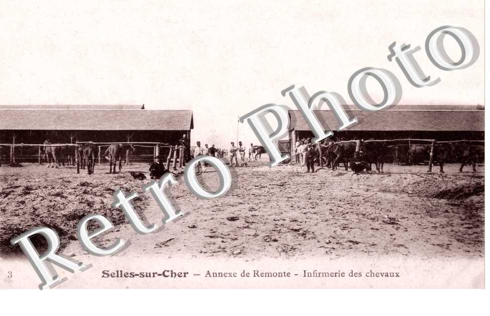 annexe de Remonte - infirmerie des chevaux