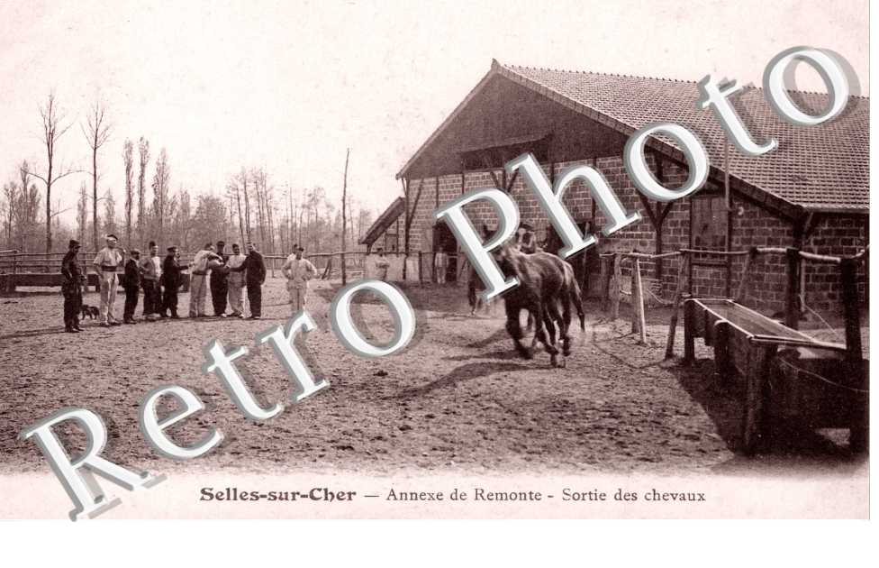 annexe de Remonte - sortie des chevaux