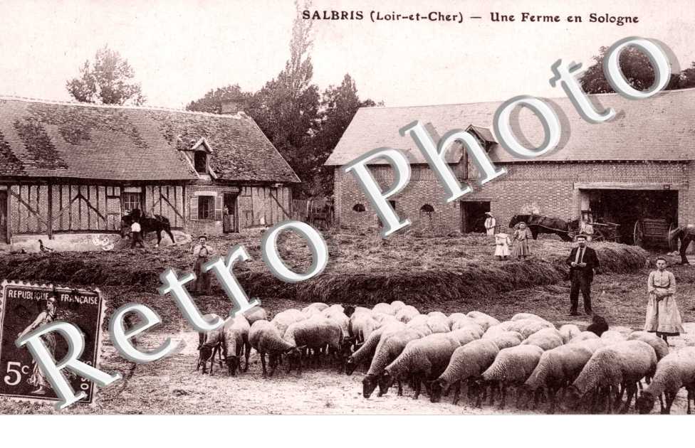 Une Ferme en Sologne