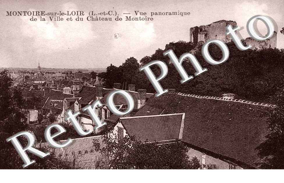 Vue Panoramique de la Ville et du Chateau de Montoire
