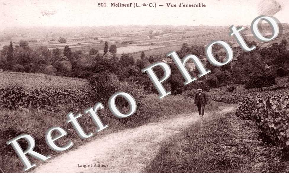 Vue d'ensemble