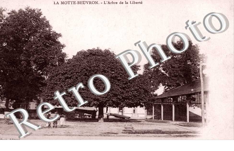 l'Arbre de la Liberte