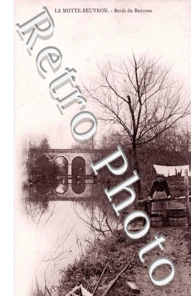 Bords du Beuvron
