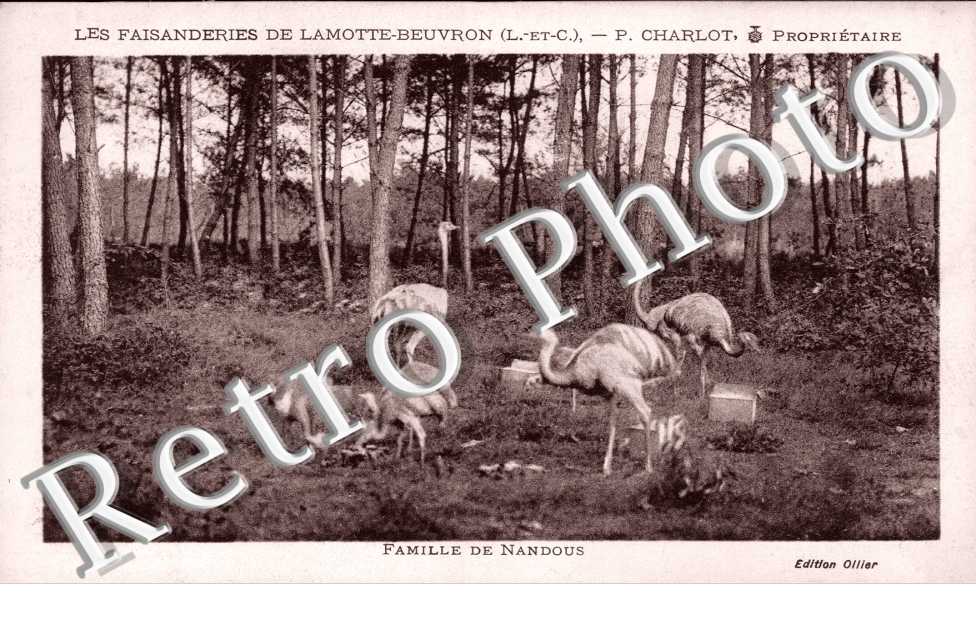 Les Faisanderies