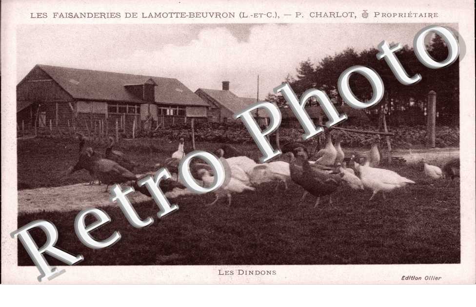 Les Faisanderies