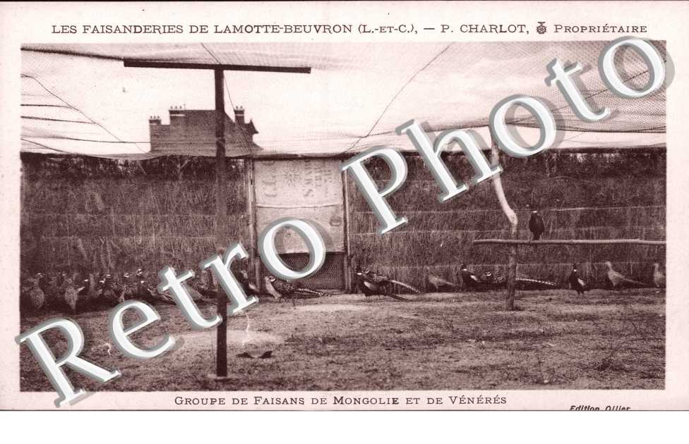 Les Faisanderies
