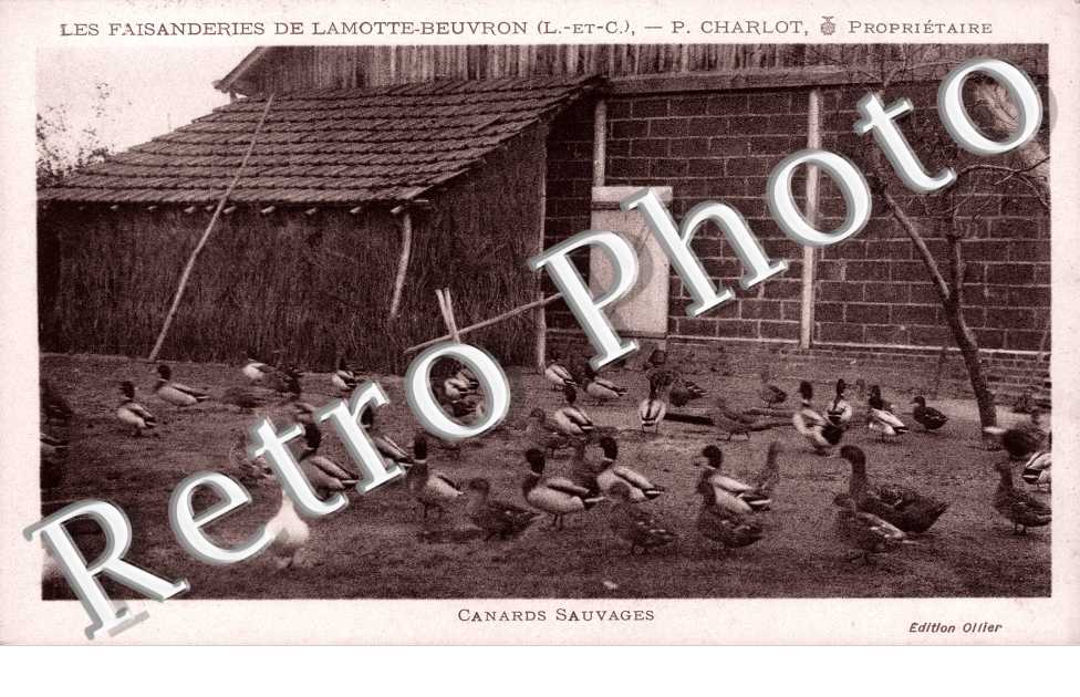 Les Faisanderies