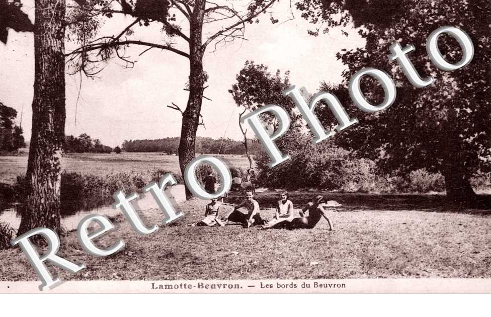 Bords du Beuvron