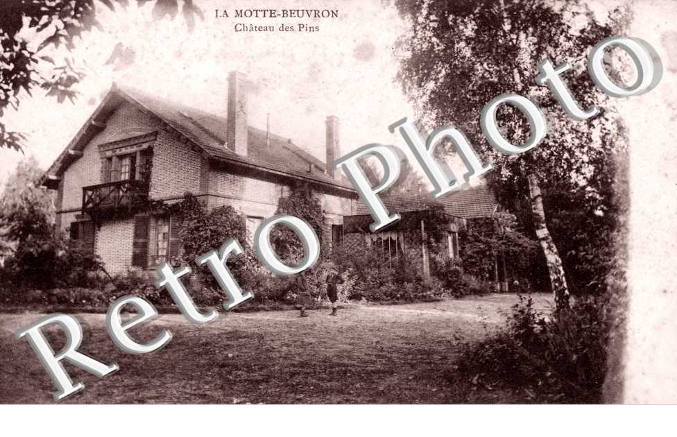 Chateau des Pins