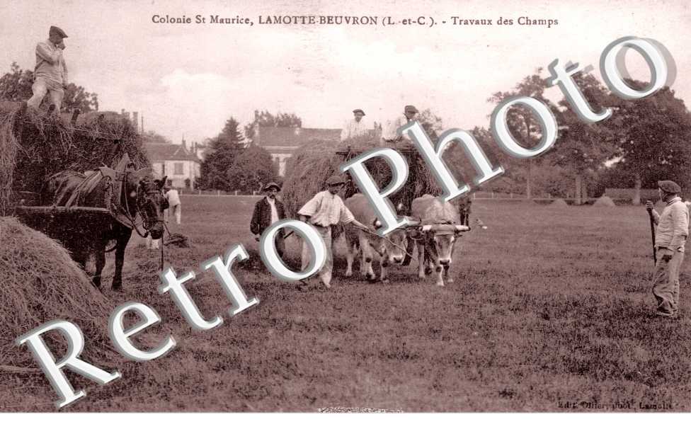 Colonie Saint Maurice travaux des champs