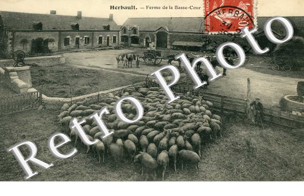 Ferme de la Basse Cour