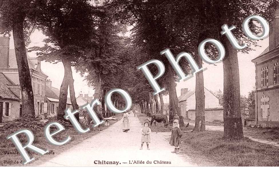 l'allee du chateau