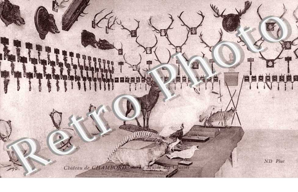 le musee des chasse, chateau