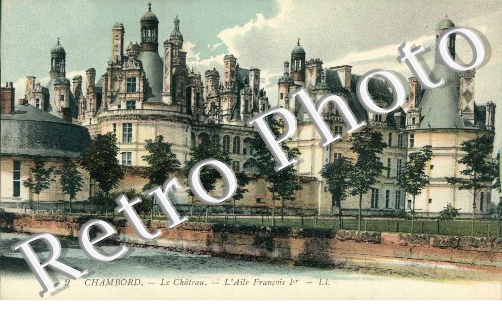 Chateau l'aile Francois Ier