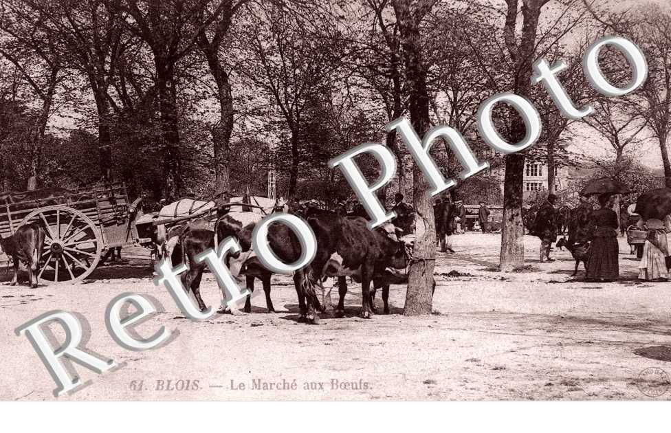 Le marche aux boeufs