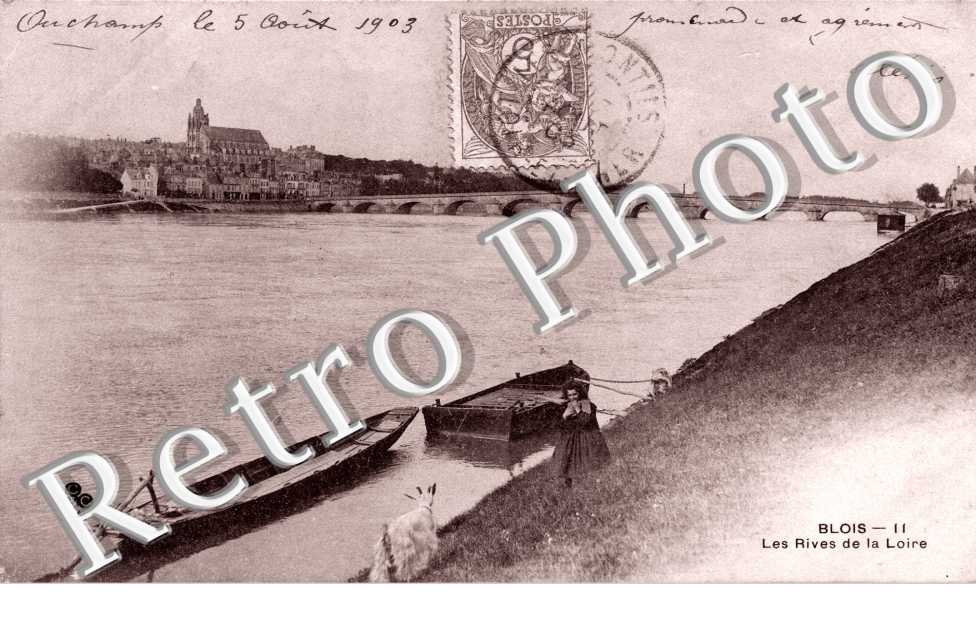 Les rives de la Loire