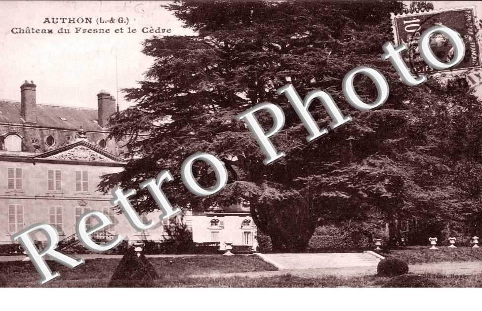 Chateau du Fresne et le Cedre