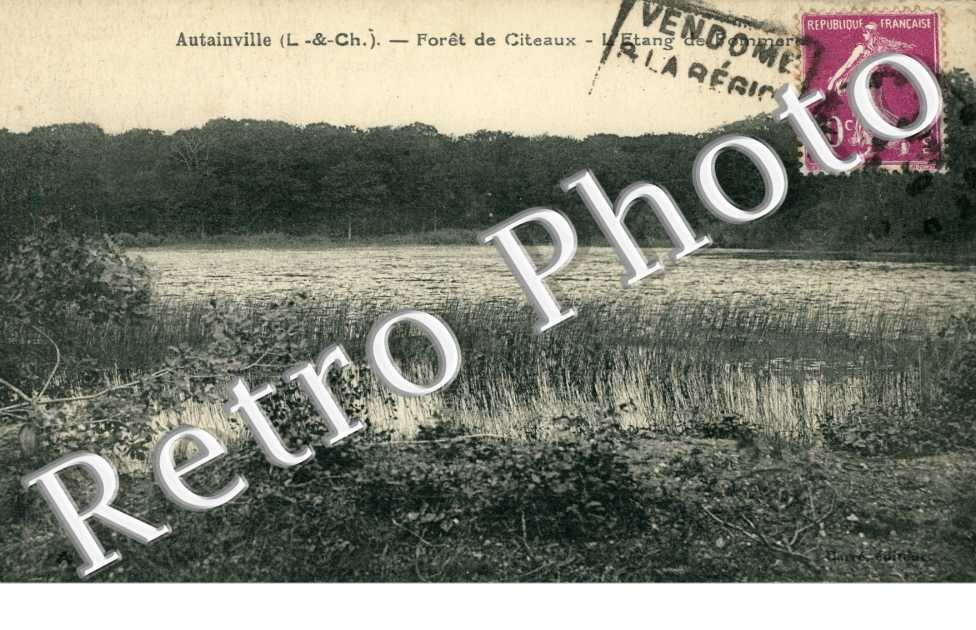 Foret de Citeaux, l'Etang